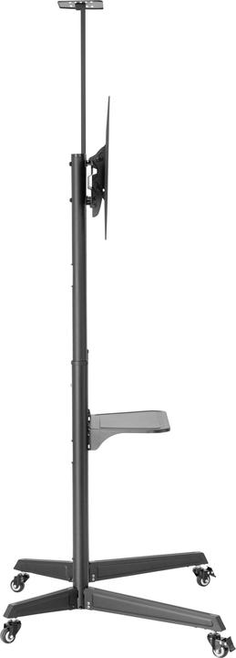 Image du produit SpeaKa Professional SP-TVC-310 Support TV à roulettes 94.0 cm - 203.2 cm (37 - 80 pouces) (70", 50 kg)