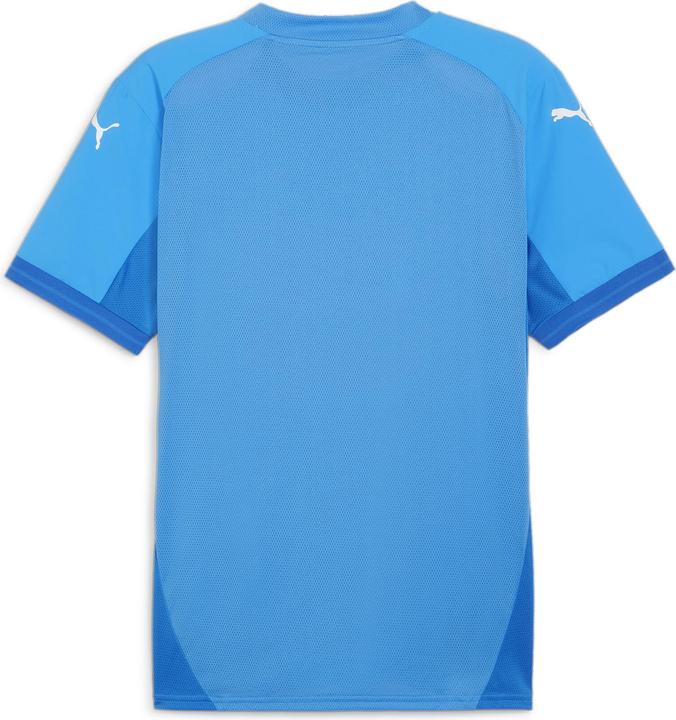 Actual product image Puma teamFINAL Jersey (S)