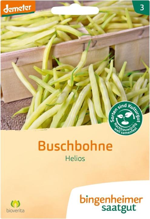 Image du produit Bingenheimer Saatgut Haricot nain Helios (Germes)