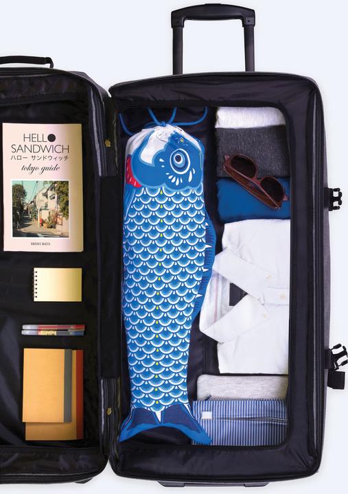 Immagine prodotto Doiy Borsa per il bucato da viaggio