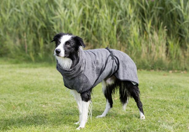 Produktbild Trixie Bademantel Frotee (S, Hundebademantel)