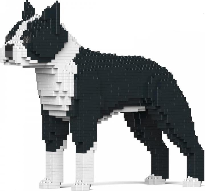 Jekca Limited Boston Terrier