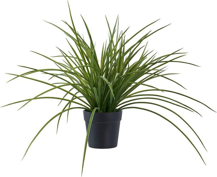 House Nordic Grass (45 cm)