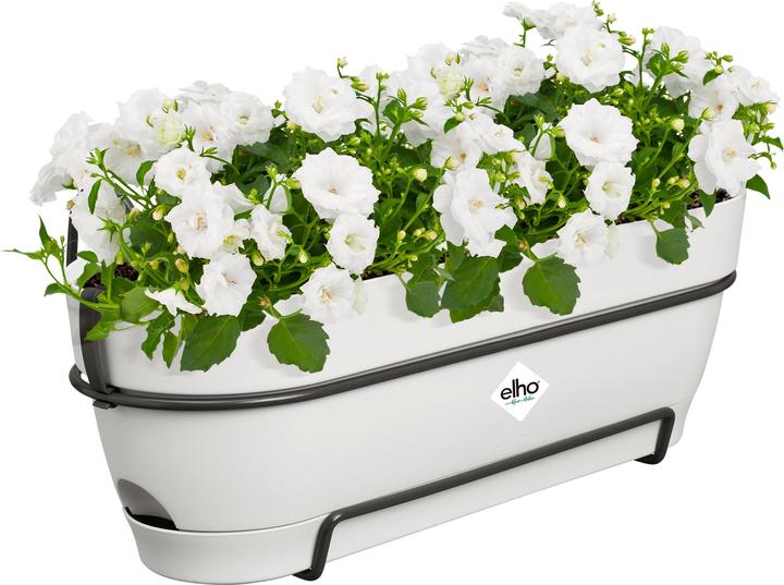 Image du produit Elho Vibia Campana Balkonkasten Allin1 (26 cm)