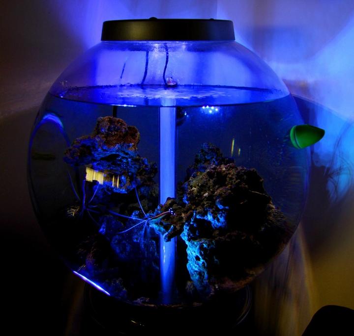 Actual product image Thumbs Up Underwater light