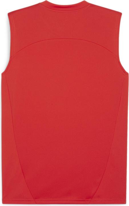 Puma teamFINAL Training Jersey SL