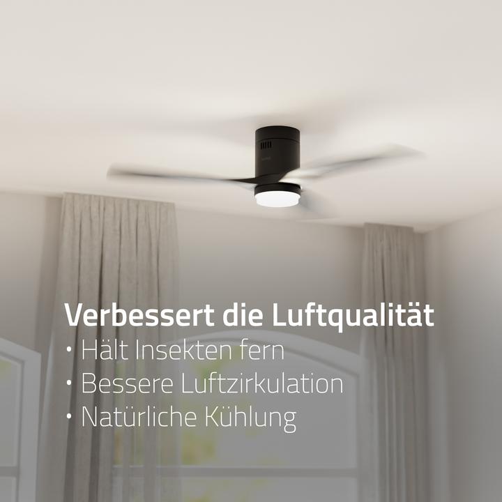 Produktbild Hombli Deckenventilator mit Licht (43 dB)
