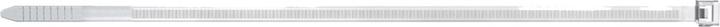 Actual product image Fischer Cable ties BN (L x W) 760 mm x 8.8 mm Colour: Transparent 100 pcs. (Plastic cable ties, 760 mm, 100 pcs.)