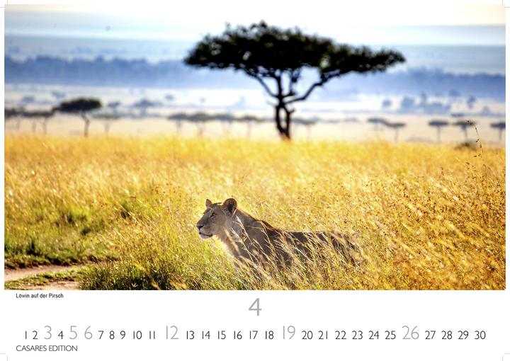 Produktbild Kenia/Serengeti 2026 S 24x35 cm (24 x 35 cm, Deutsch)