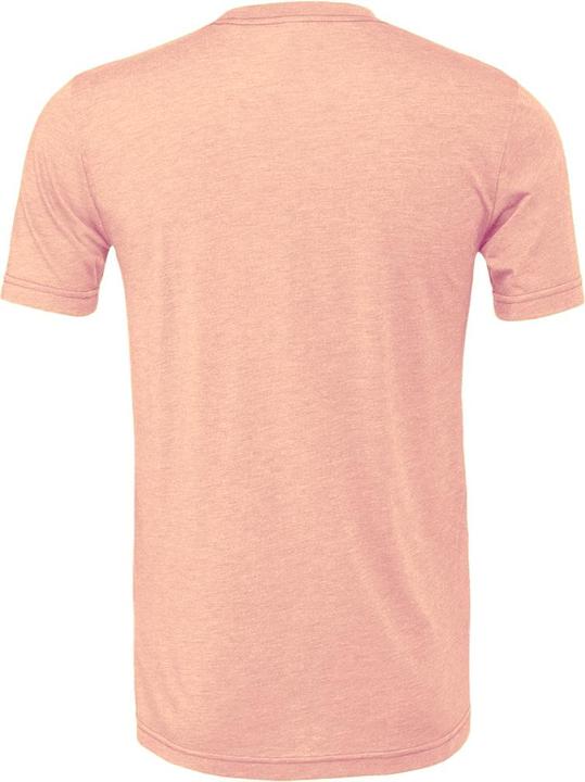 Immagine prodotto Bella Canvas Cvc Tshirt Adulti (L)
