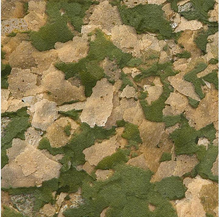 Immagine prodotto Sera Vipan Nature Fiocco Grande (Pesce ornamentale, 10000 ml)