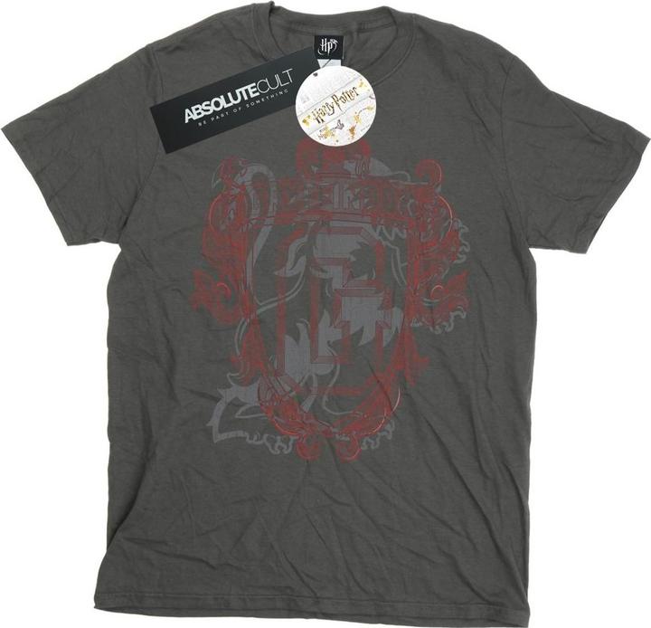 Actual product image Boys Gryffindor Lion Crest T-Shirt (152, 158)