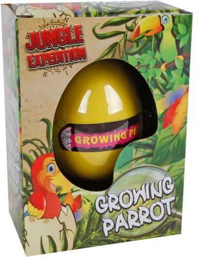 Actual product image Sombo Oeuf - Perroquet se former display