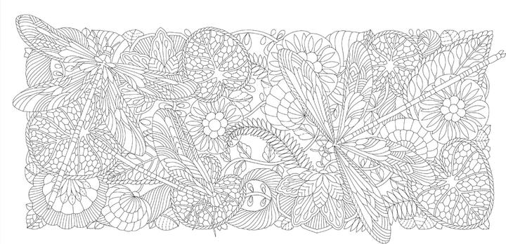 Actual product image Millie Marotta's Wonderful Planet - The most beautiful colouring adventures