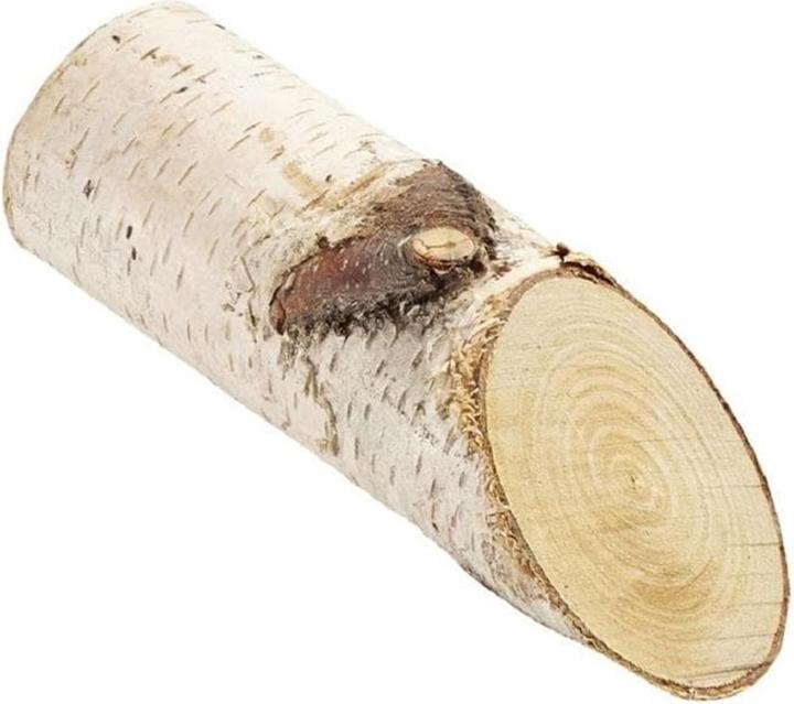 Image du produit Hobby Fun Matériaux naturels Troncs de bouleau 15 cm