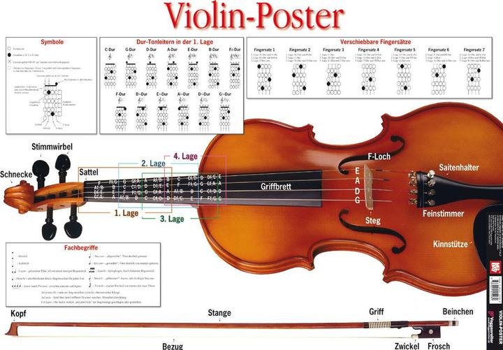 Actual product image The Violin Poster (Martin Norgaard, German)