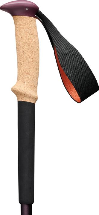 Produktbild Black Diamond Trekkingst?cke Trail Cork (anthrazit/orange, 1 Paar, 100-140 cm) (100 - 140 cm)