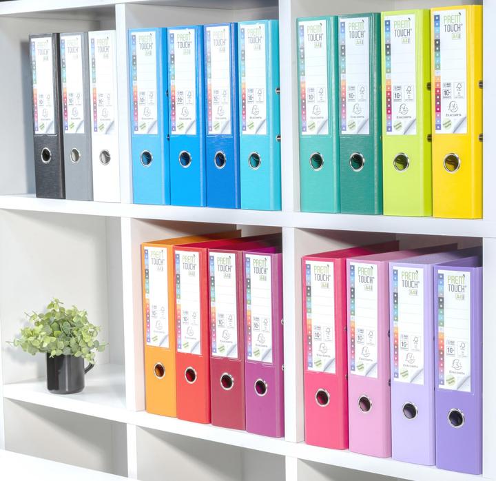 Actual product image Exacompta Folder (A4, 80 mm, 1 Piece)