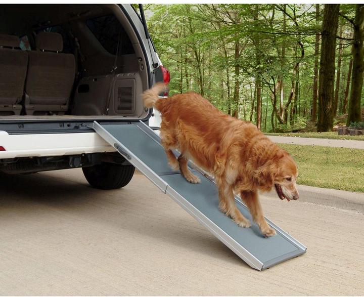 Immagine prodotto PetSafe Rampa telescopica per cani (Cane, Riflettori)
