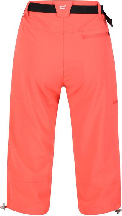 Produktbild Regatta Xert Freizeitshorts (46 D)