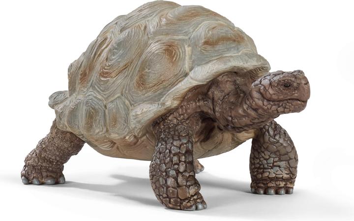 Produktbild Schleich Schleich-Riesen-Schildkröte