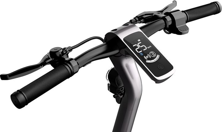 Produktbild CityBlitz CB081SZ Tiger (20 km/h, 25 km, 350 W)