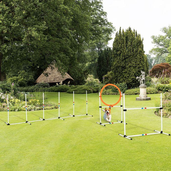 Actual product image Swisshandel24 Dog agility set 3-piece including bag white+yellow (Agility)