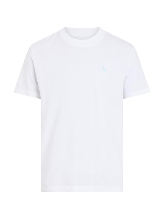 Actual product image Calvin Klein Jeans Painted Tee (XL)