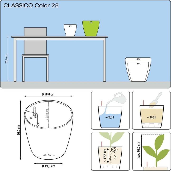 Immagine prodotto Lechuza Colore Classico (27.50 cm)
