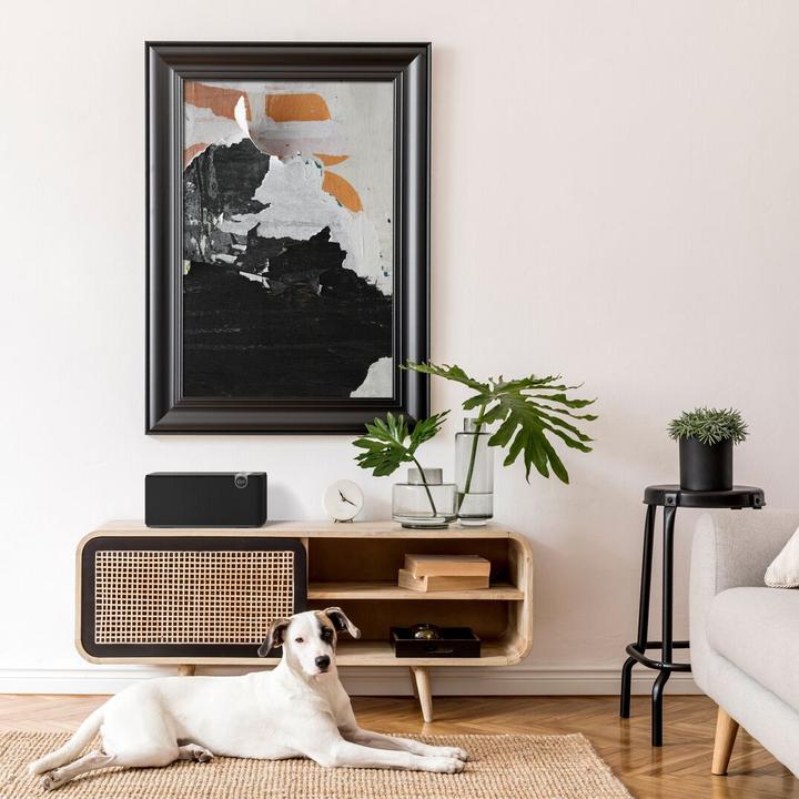 Actual product image Klipsch The One Plus (Electrical connection)