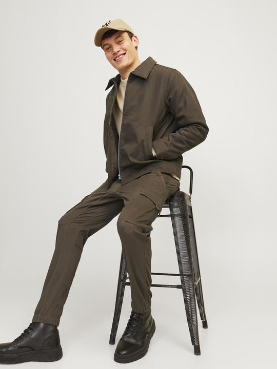 Image du produit Jack & Jones Jpstpaul Jjflake Cargo Noos (W34/L32)