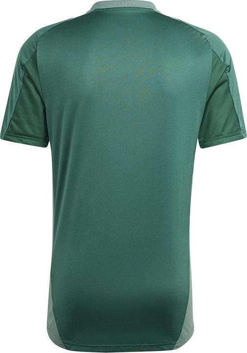 Actual product image adidas TIRO24 C TR JSY (XS)