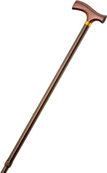 Immagine prodotto Gastrock Bastone da passeggio con impugnatura in bronzo