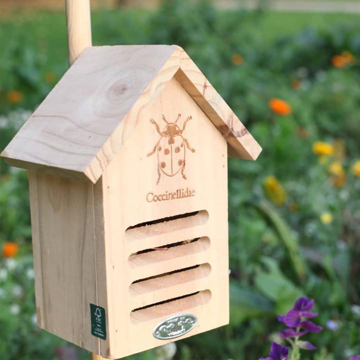 Actual product image Esschert Design Ladybird house with silhouette (Ladybirds)