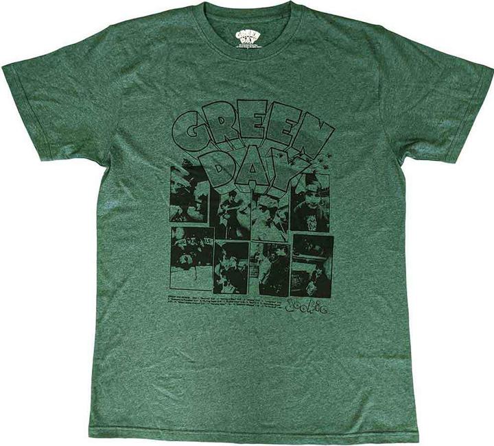 Green Day Dookie Frames