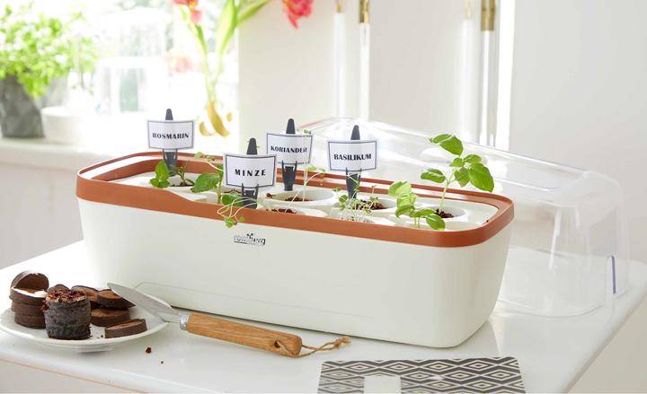 Actual product image Romberg Indoor greenhouse