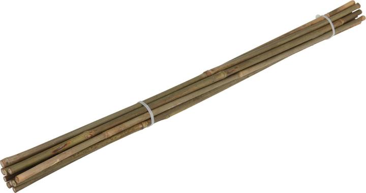 Produktbild Natura Punto Pflanzstangen Bambusstäbe (60 cm, 60 cm)