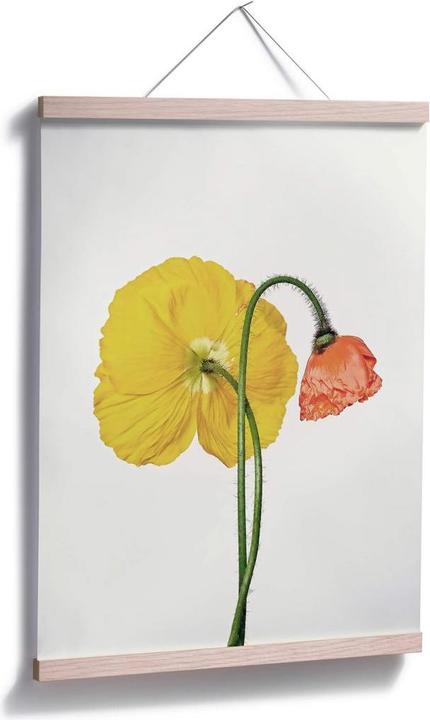 Actual product image Trenddeko The red and yellow flower (30 x 40 cm)