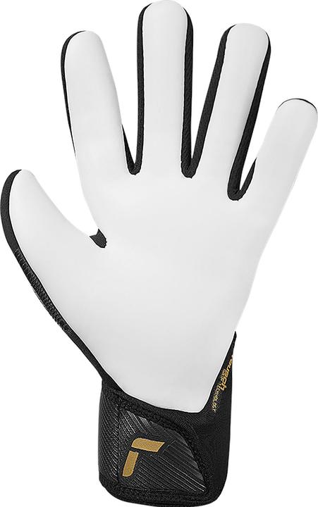 Actual product image Reusch Football Fastgrip Silver (4.5)