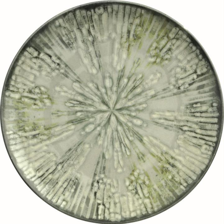 Produktbild Arthur Krupp Speiseteller Fusion Grey Ø 28 cm, 4 Stück, Grau (4 x, 28 cm)