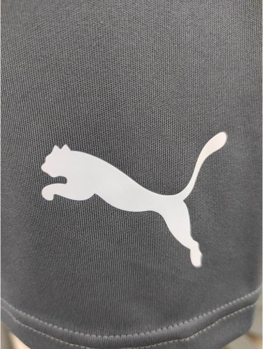 Actual product image Puma IndividualLIGA Training Shorts 2 (open pockets) (L)