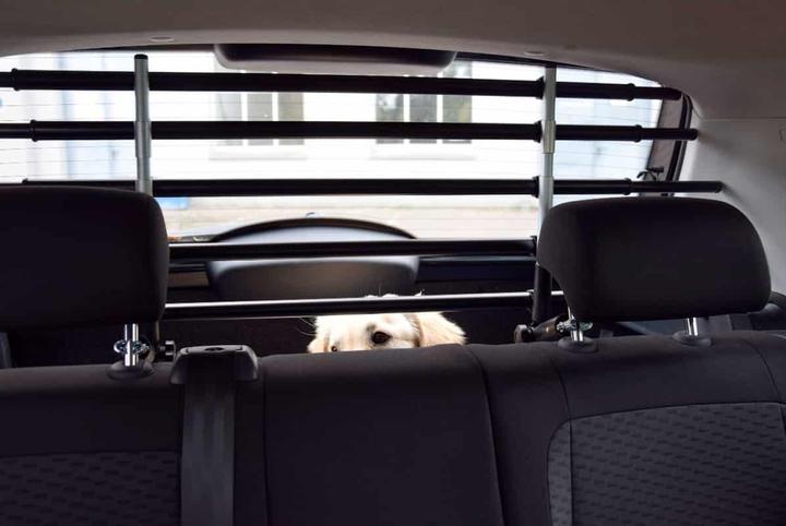 Image du produit Walky Dog Barrière de sécurité pour chien WALKY Barrier réglable 82-141 cm (Chien, Réflecteurs)