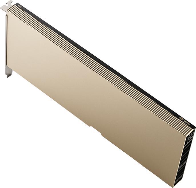 Actual product image PNY NVIDIA A10 MODULE 24GB (24 GB)
