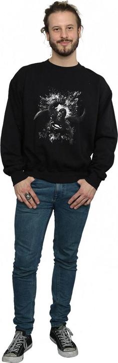 Produktbild Superman Spot Sweatshirt (XL)