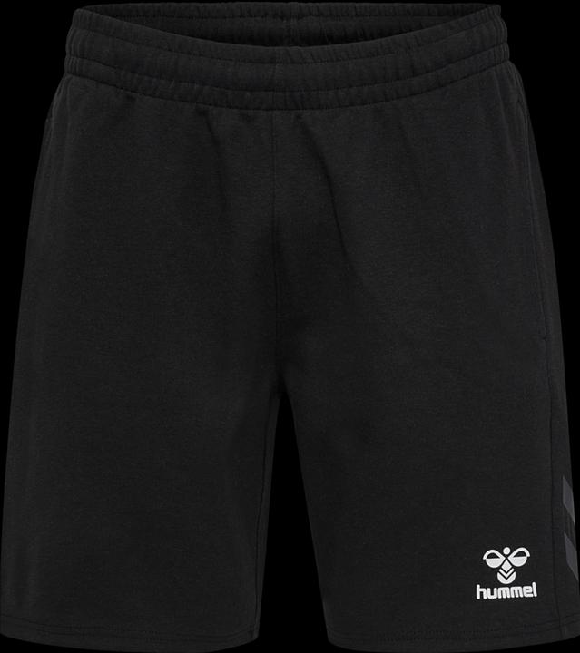 Image du produit hummel Hmltravel Shorts (L)