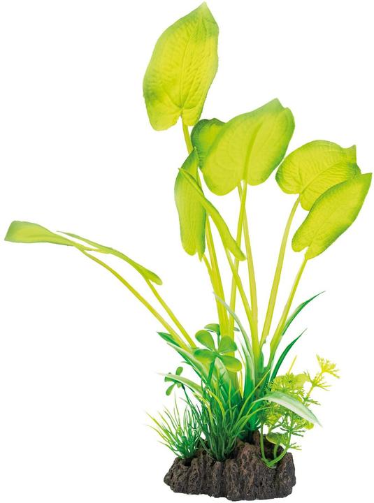 Image du produit SuperFish Plante artificielle Echinodorus, 25 cm (Plantes, autres éléments)