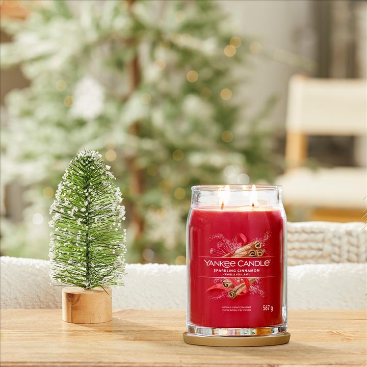 Produktbild Yankee Candle Sparkling Cinnamon (0.57 g)