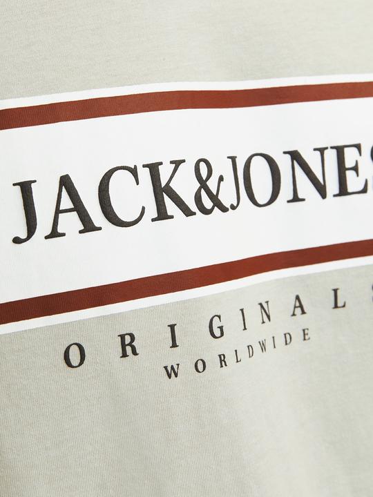 Actual product image Jack & Jones Jorfrederiksberg Box Tee Ss C.N Sn (M)