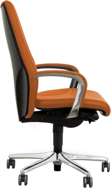 Produktbild Giroflex 64-9278