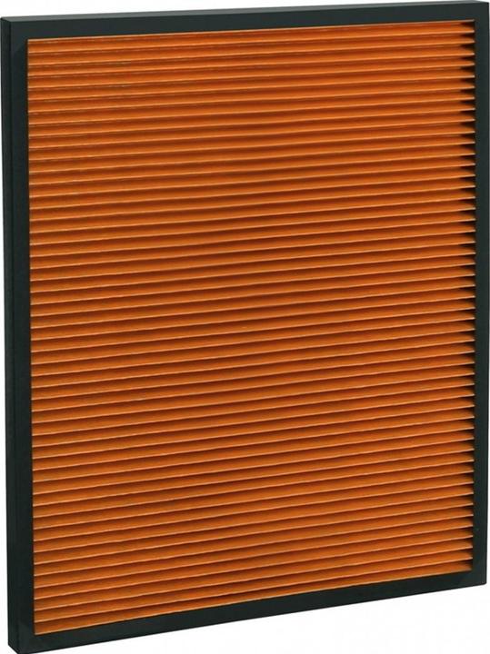 Ideal Health Luftreiniger Filter zu AP100 (1 x)